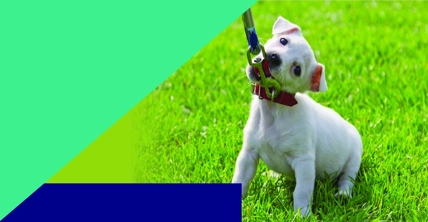 Carpet & Flooring Store in Grandville, MI Johnson Carpet One Floor & Home